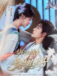 ���С�����ǻ�̫��