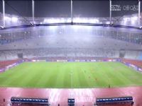 �г����� ����������VS�ൺ��ţ 20240426