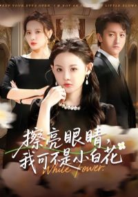 擦亮眼睛,我可不是小白花