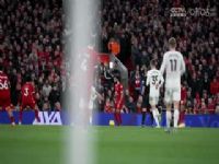 Ӣ������ ����ķVS����˹ά�� 20250105