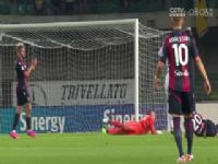 ��� ά����vs�������� (��Ǩ) 20230918