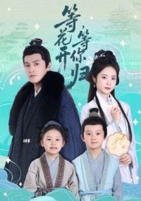 �Ȼ��� �����