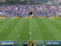 ������� ��ĪVSά���� 20240929